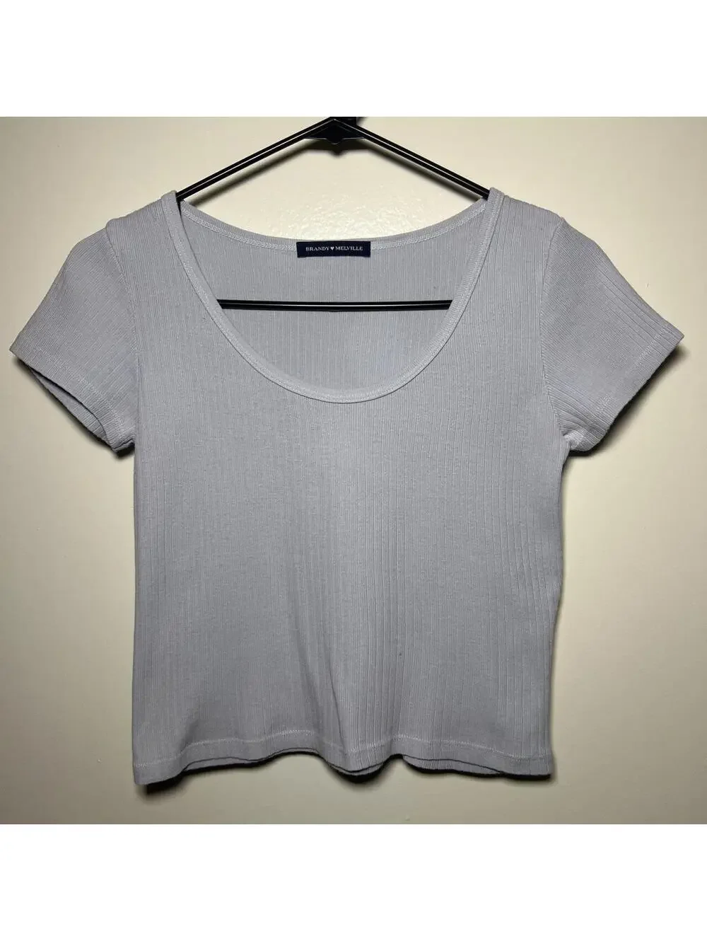 Brandy Melville Light Blue Ribbed Crop Top